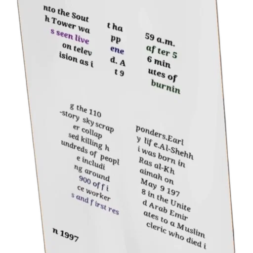 tree, furniture, jewelry, image transparent PNG cut-out