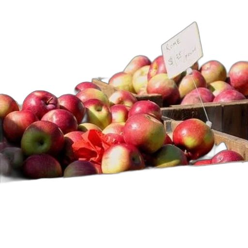 food, crown, photorealistic, apples transparent PNG cut-out