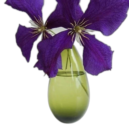 flower, bottle, crown, weapon transparent PNG cut-out