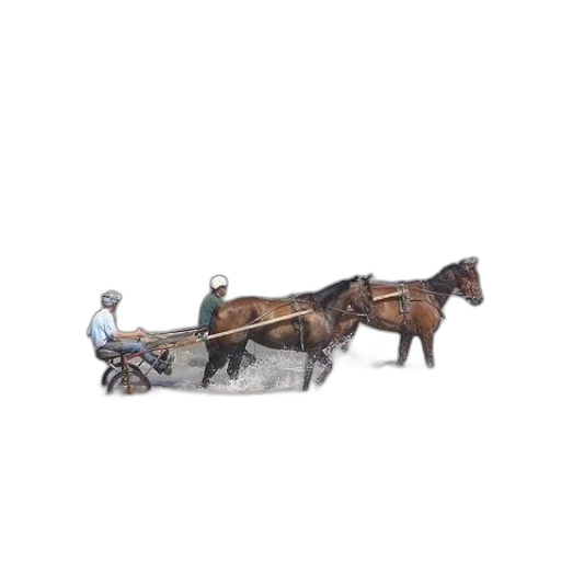 furniture, staff, car, animal transparent PNG cut-out