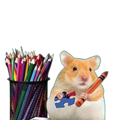 animal, staff, weapon, food transparent PNG cut-out