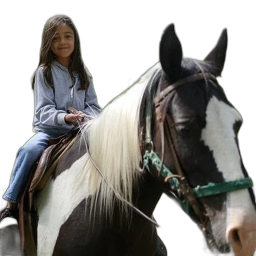 animal, photorealistic, oil painting, young transparent PNG cut-out