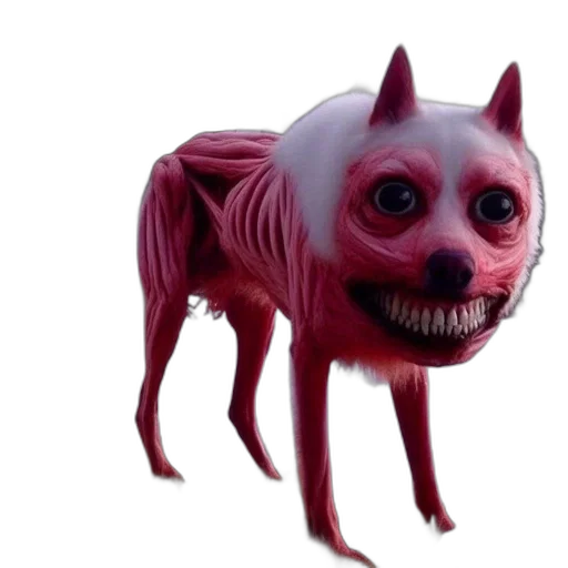 creature, animal, mask, face transparent PNG cut-out