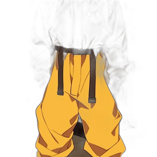 jacket, mask, staff, dress transparent PNG cut-out