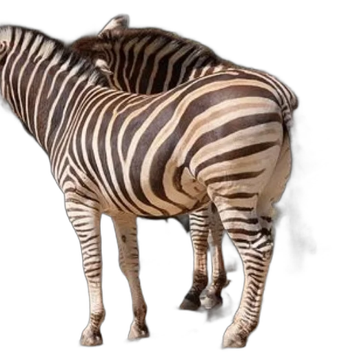 animal, creature, furniture, weapon transparent PNG cut-out