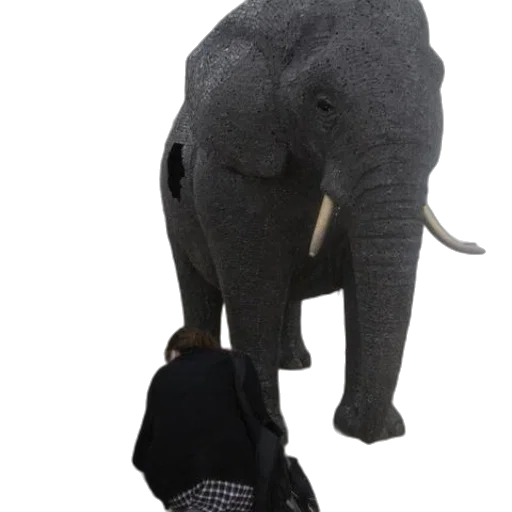 hat, animal, creature, mask transparent PNG cut-out
