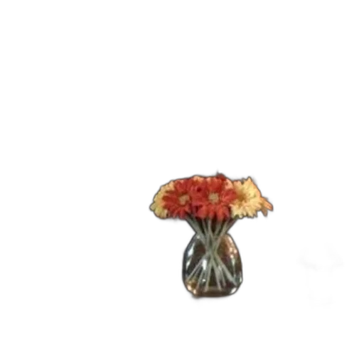 flower, crown, jewelry, umbrella transparent PNG cut-out
