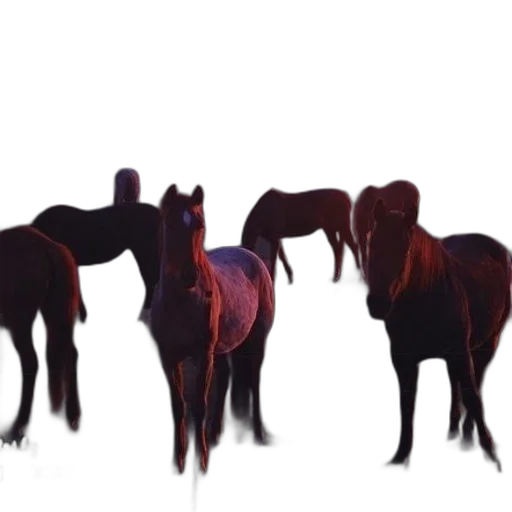 animal, staff, creature, jewelry transparent PNG cut-out