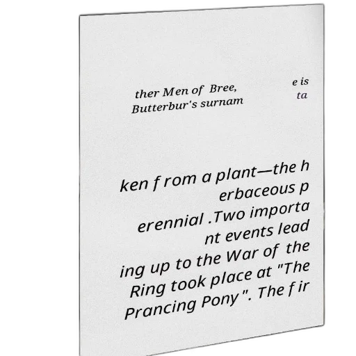 tree, furniture, forest, text-based transparent PNG cut-out