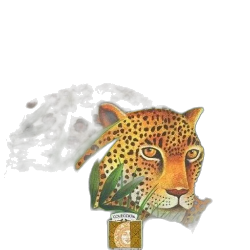 animal, jewelry, mask, staff transparent PNG cut-out