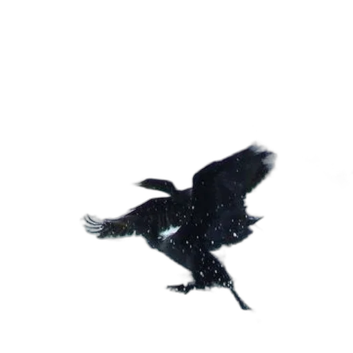 dragon, animal, staff, creature transparent PNG cut-out