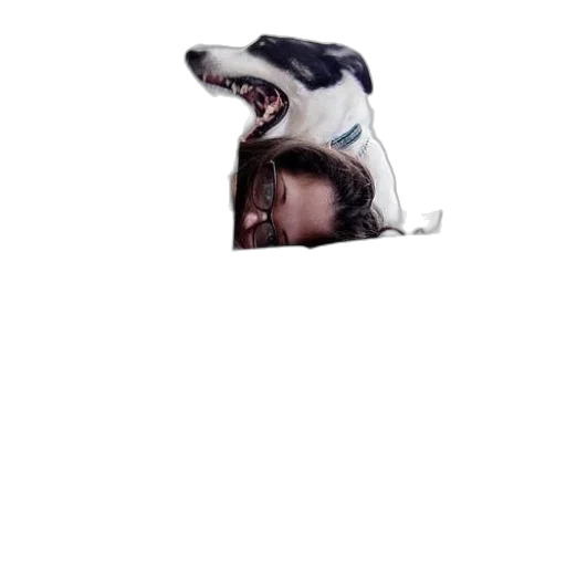 animal, creature, hat, mask transparent PNG cut-out