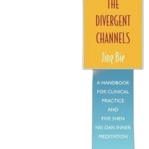 cover, divergent, channels, jing transparent PNG cut-out