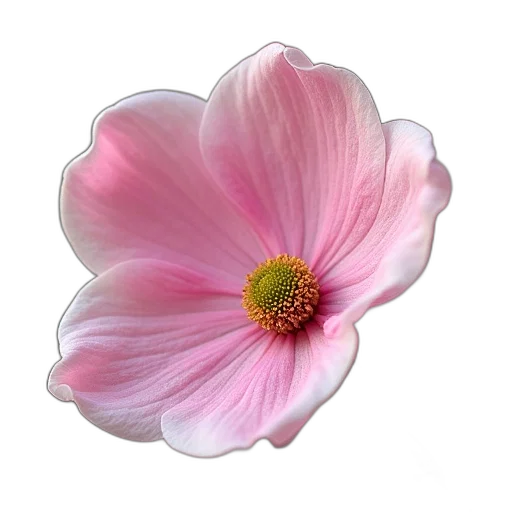 flower, crown, jewelry, staff transparent PNG cut-out
