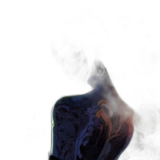 mask, face, dragon, jacket transparent PNG cut-out