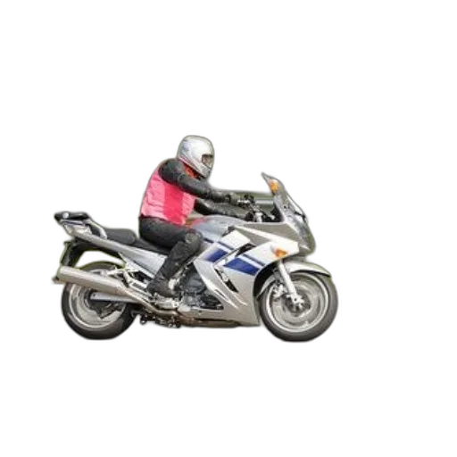 animal, jacket, 3d render, photorealistic transparent PNG cut-out