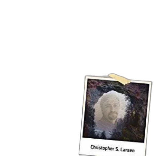 creature, dragon, face, hair transparent PNG cut-out