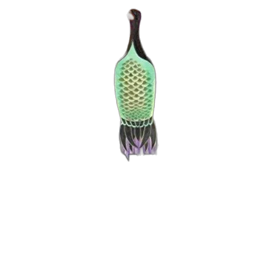 bottle, staff, hair, umbrella transparent PNG cut-out