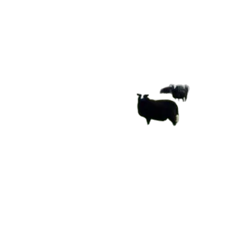 animal, robot, creature, car transparent PNG cut-out