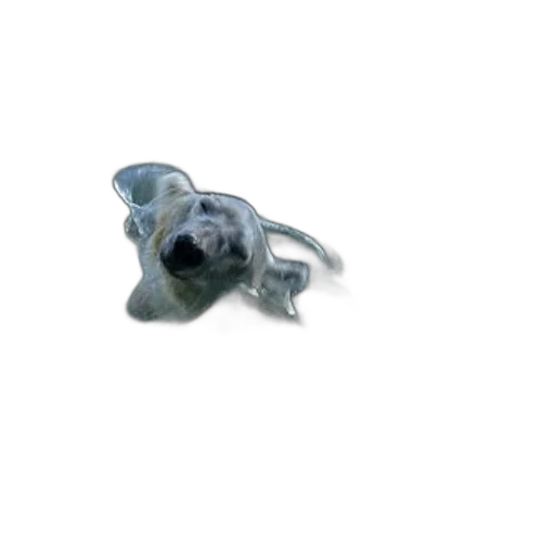 jewelry, animal, creature, mask transparent PNG cut-out