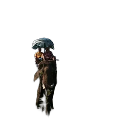 staff, hat, creature, weapon transparent PNG cut-out