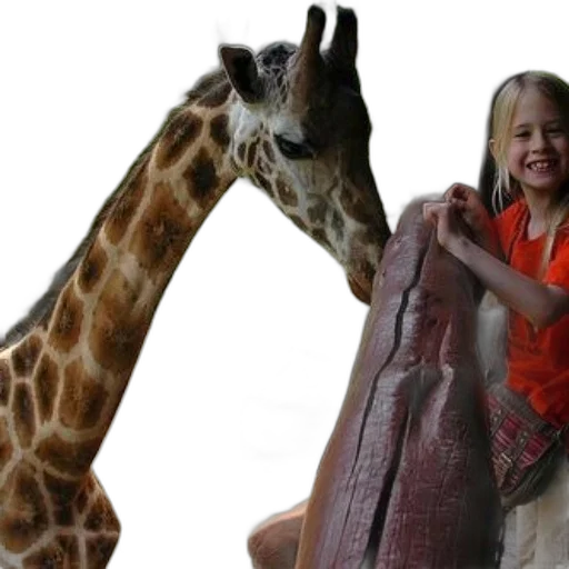 animal, creature, young, girl transparent PNG cut-out