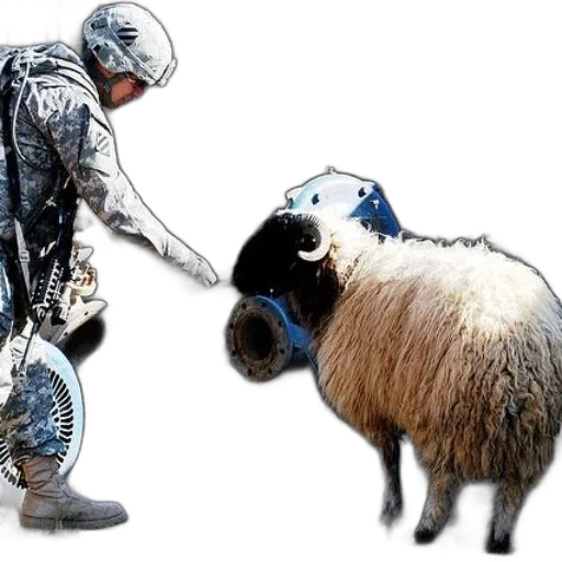 animal, weapon, concept art, soldier transparent PNG cut-out