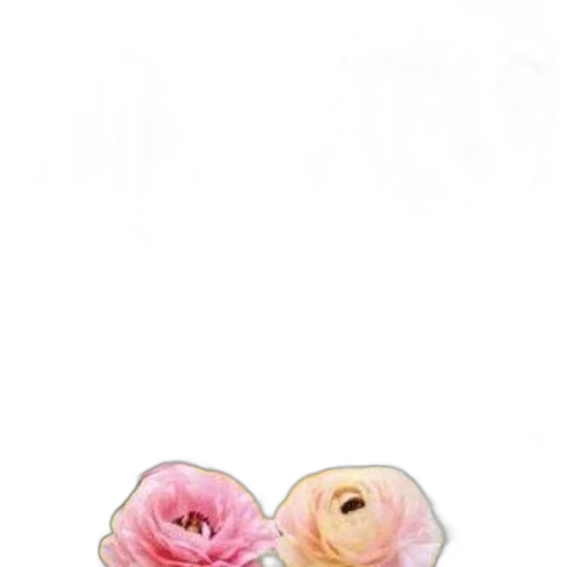 flower, jewelry, crown, dress transparent PNG cut-out