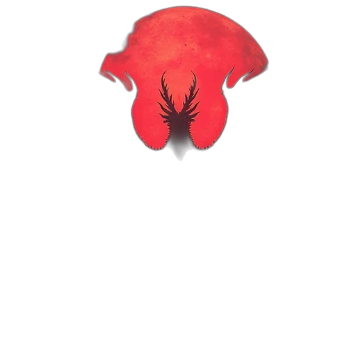 hat, flower, crown, creature transparent PNG cut-out
