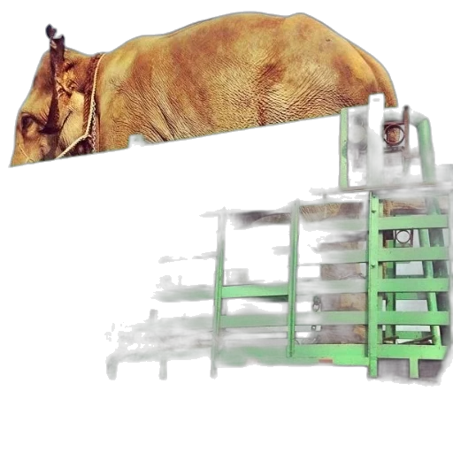 animal, furniture, food, staff transparent PNG cut-out