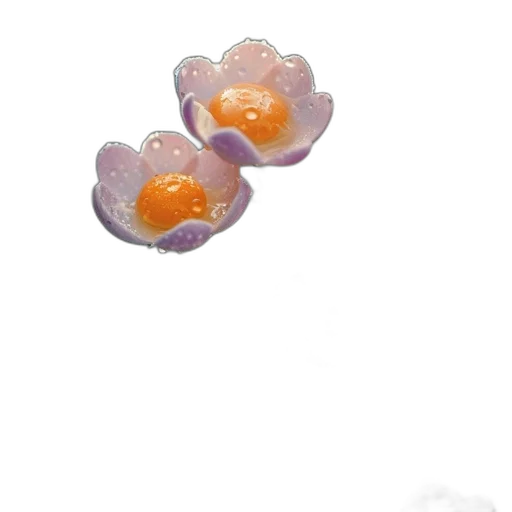 flower, jewelry, crown, food transparent PNG cut-out