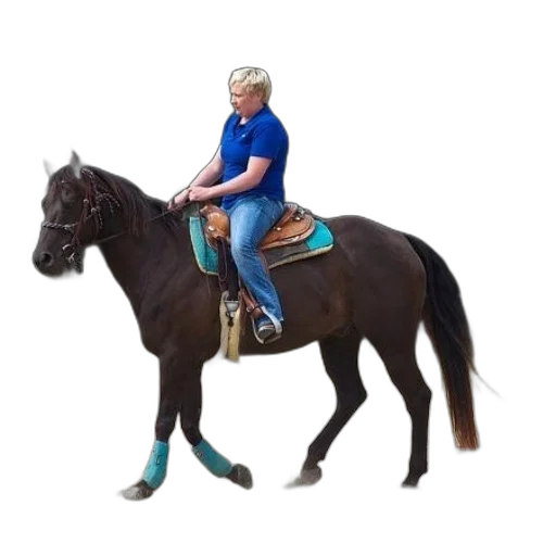 staff, animal, jewelry, hat transparent PNG cut-out