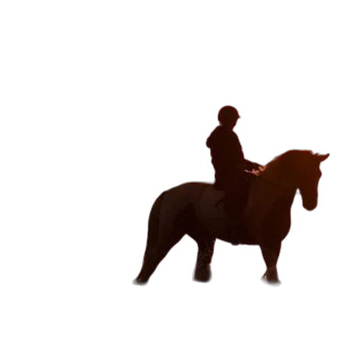 animal, staff, hat, jacket transparent PNG cut-out
