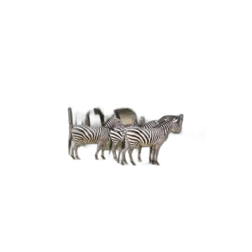 animal, creature, jewelry, furniture transparent PNG cut-out