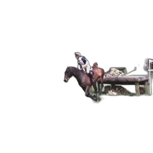 weapon, sword, furniture, robot transparent PNG cut-out