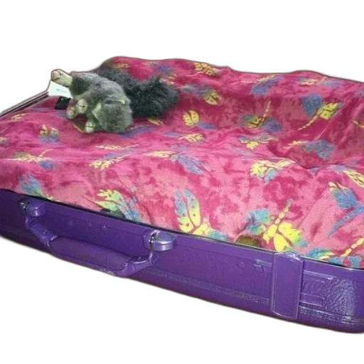 furniture, purple, suitcase, pink transparent PNG cut-out