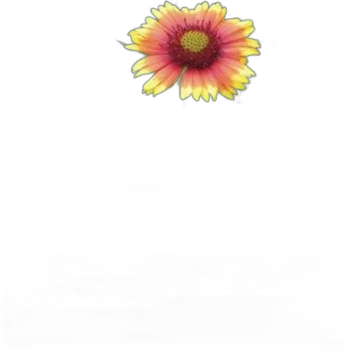 flower, jewelry, staff, crown transparent PNG cut-out