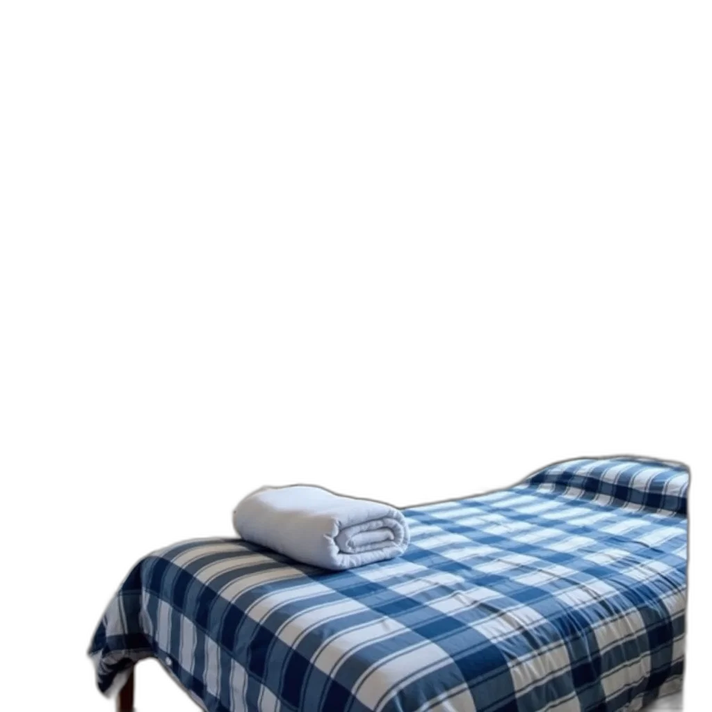 furniture, food, shoes, robot transparent PNG cut-out