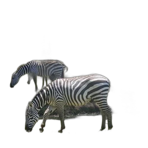 animal, creature, furniture, dragon transparent PNG cut-out
