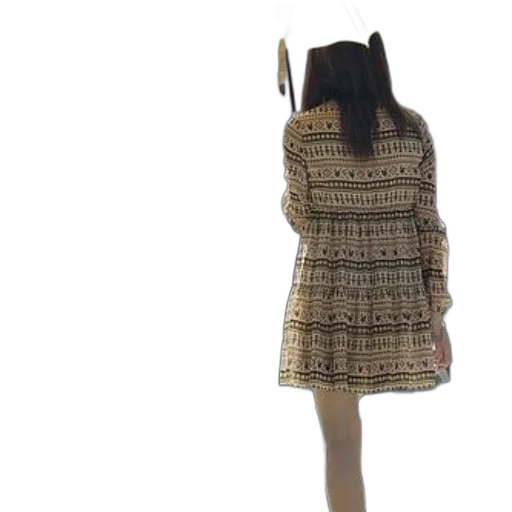 dress, jacket, hair, hat transparent PNG cut-out