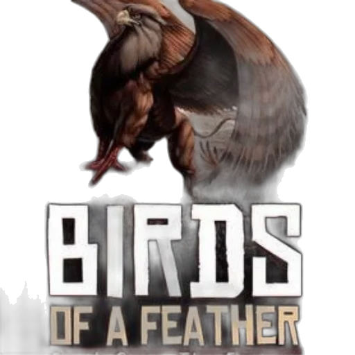 concept art, fantasy art, birds, feather transparent PNG cut-out