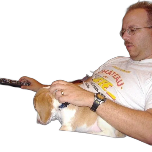 staff, weapon, animal, sword transparent PNG cut-out