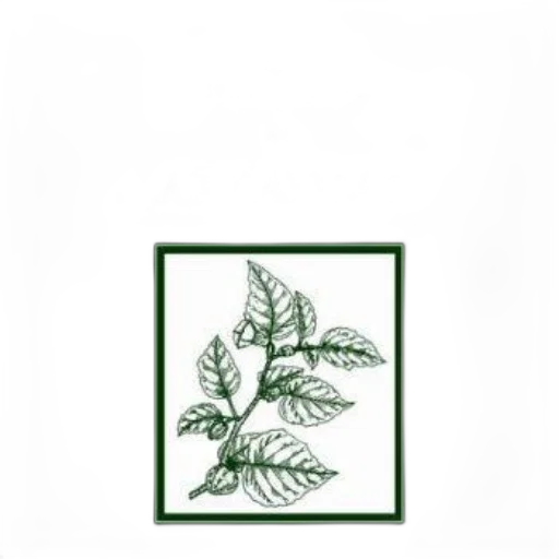 staff, crown, furniture, flower transparent PNG cut-out
