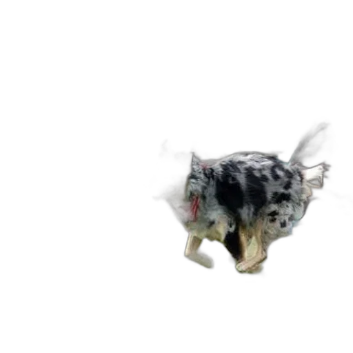 animal, creature, dragon, robot transparent PNG cut-out