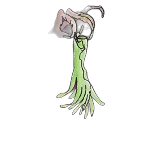 staff, jewelry, hair, weapon transparent PNG cut-out