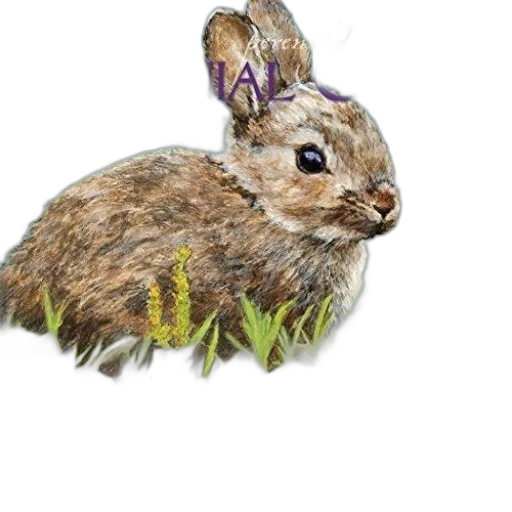 animal, creature, photorealistic, watercolor transparent PNG cut-out