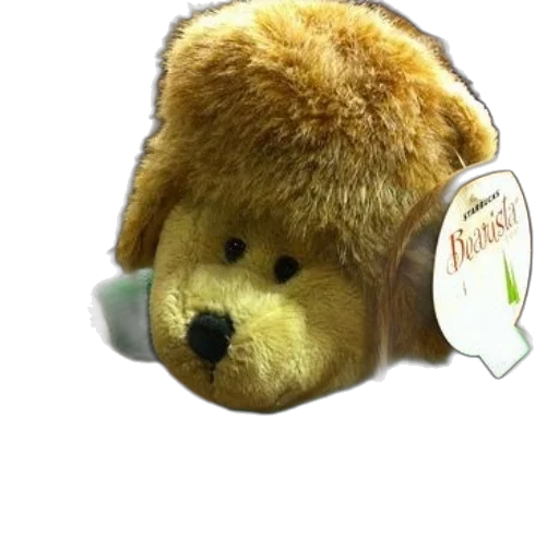 hat, staff, mask, animal transparent PNG cut-out