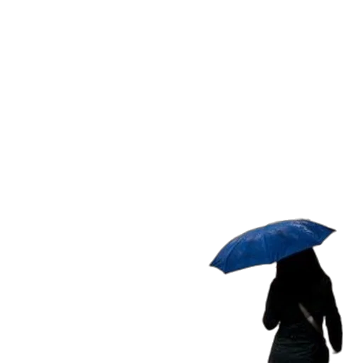 umbrella, dress, jacket, hat transparent PNG cut-out