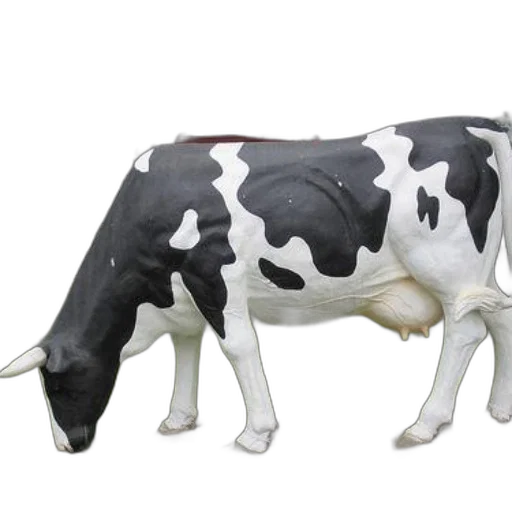 animal, food, 3d render, photorealistic transparent PNG cut-out