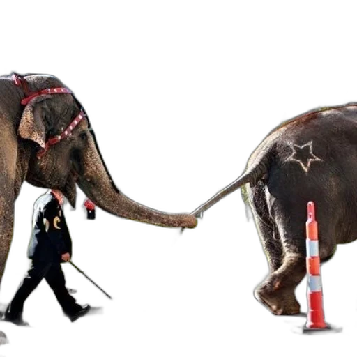 staff, animal, concept art, 3d render transparent PNG cut-out